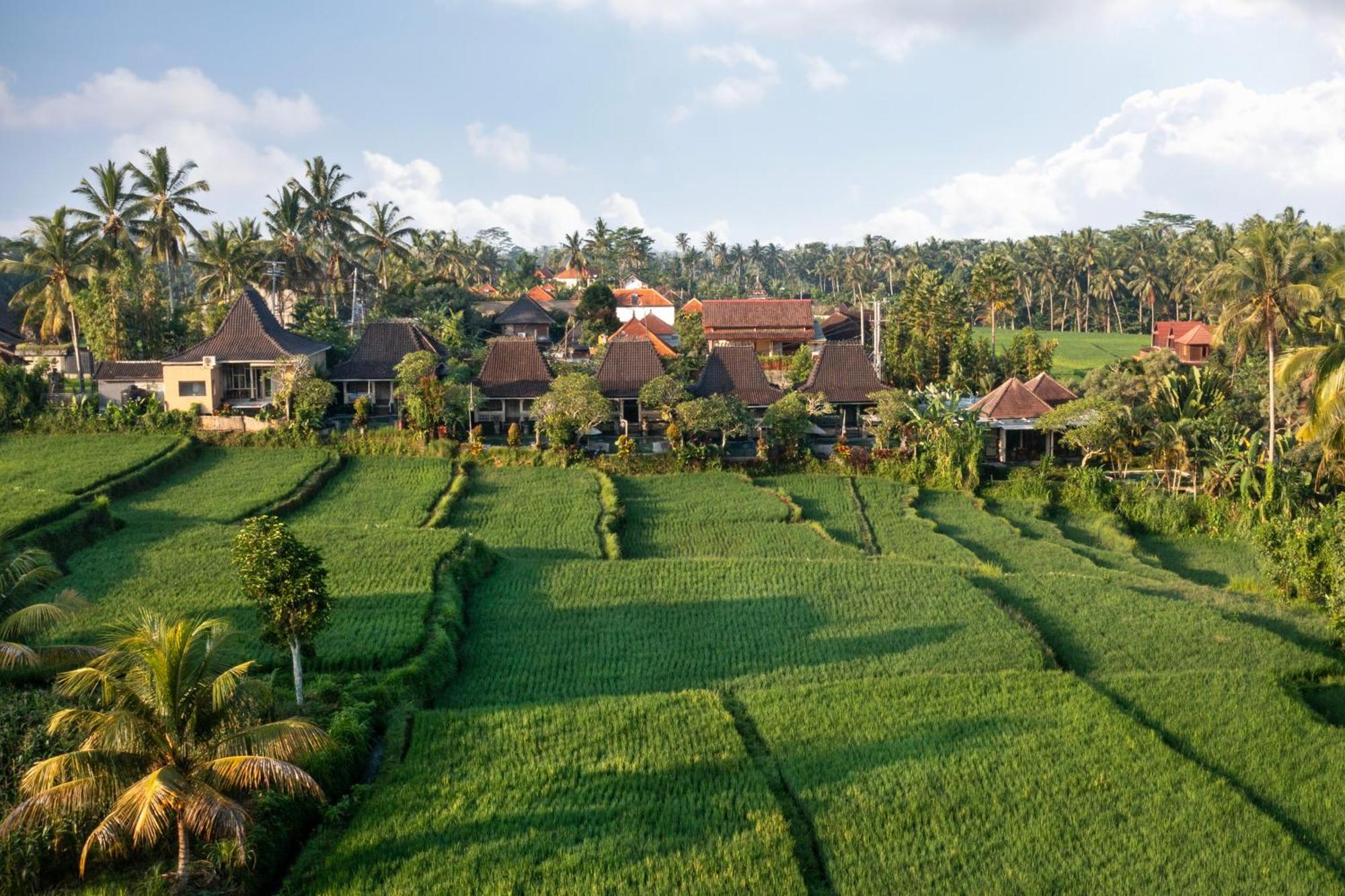 Wooden Ganeca Villas By Pramana Villas Убуд Екстериор снимка